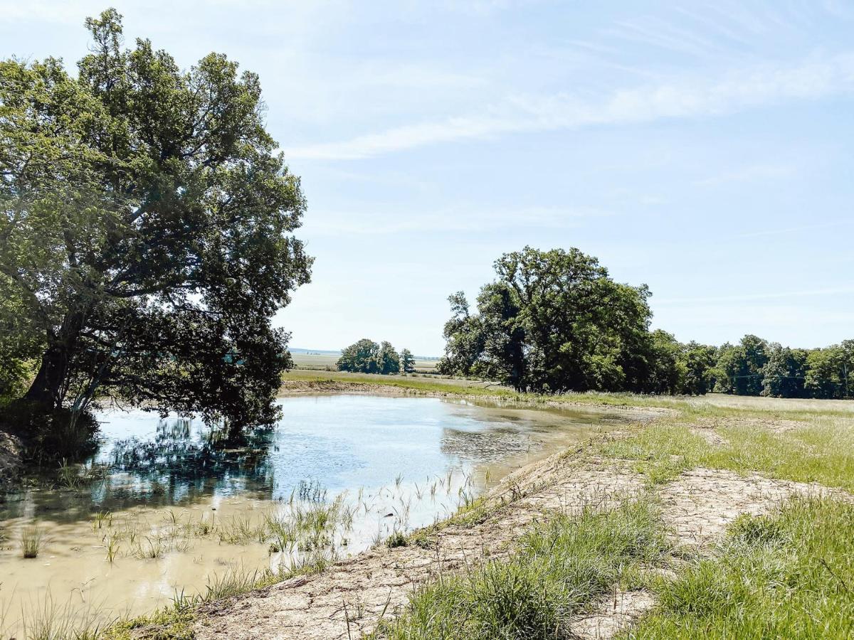Le Val Suzenay Vendeuvre-sur-Barse Exterior foto